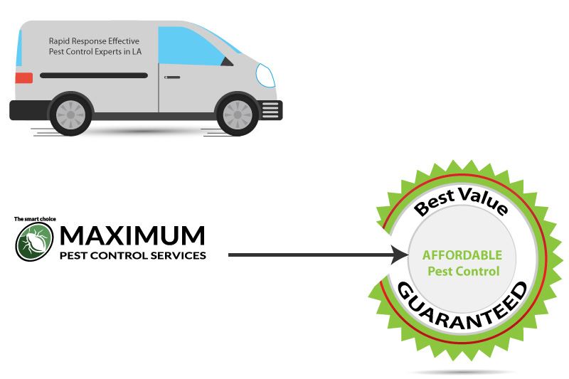 pest control service van illustration and circle shape