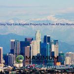 Los Angeles California CBD snowy mountains in background