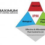 Integrated Pest Management Chart