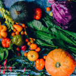 variety of freshly harvested garden vegetable